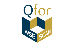 Q scan